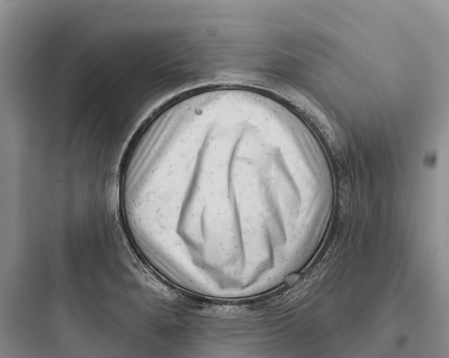 X0000097591280200803211628