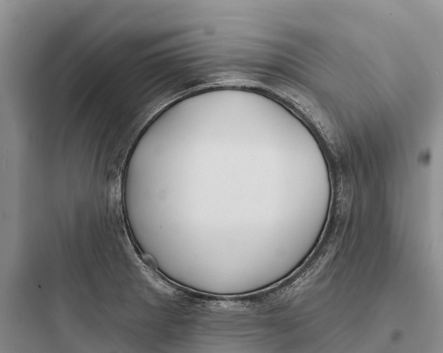 X0000097591281200803211628