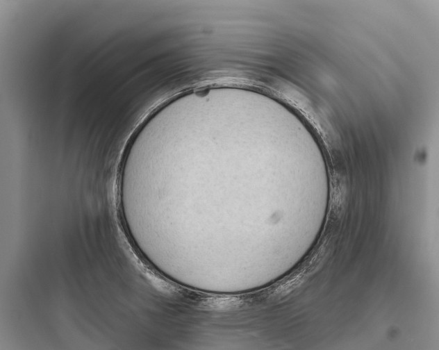 X0000097591282200803211628