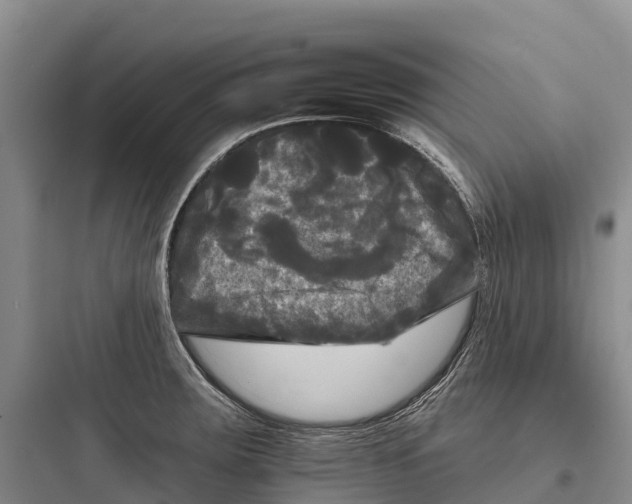 X0000097591283200803211628