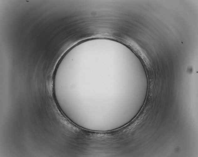 X0000097591284200803211628