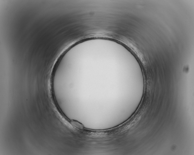 X0000097591285200803211628