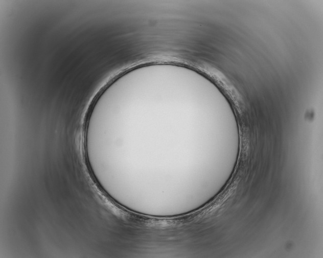 X0000097591286200803211628