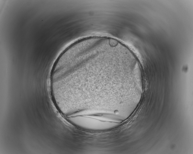 X0000097591287200803211628