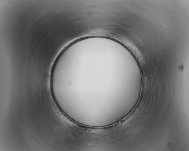 X0000097591288200803211628