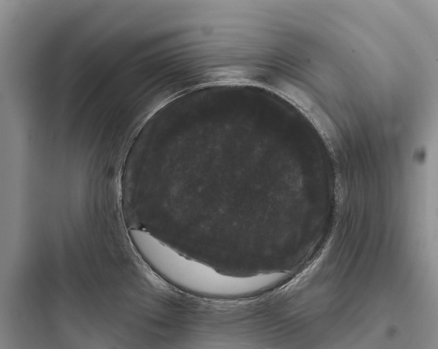 X0000097591289200803211628