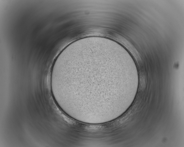 X0000097591290200803211628