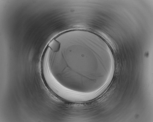 X0000097591291200803211628