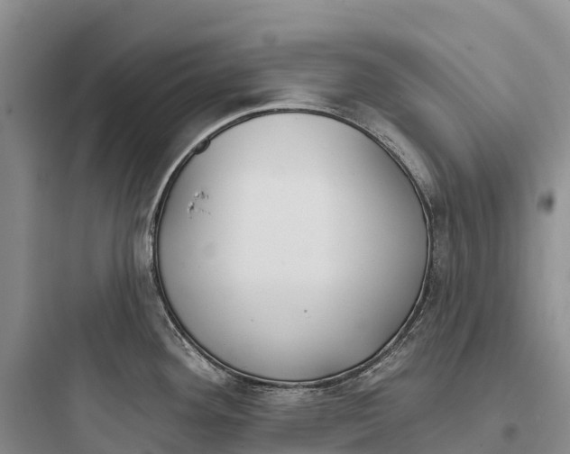 X0000097591292200803211628