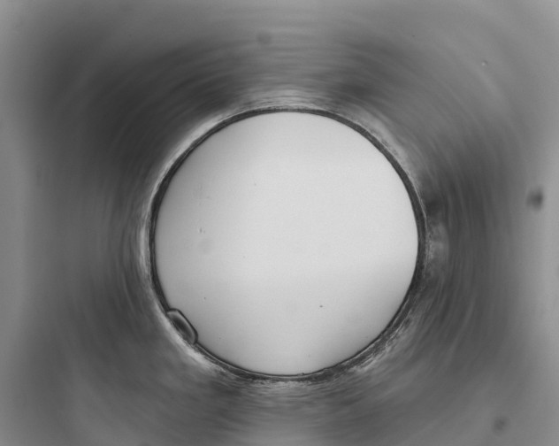 X0000097591293200803211628