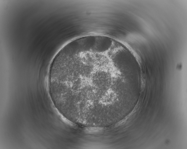 X0000097591294200803211628