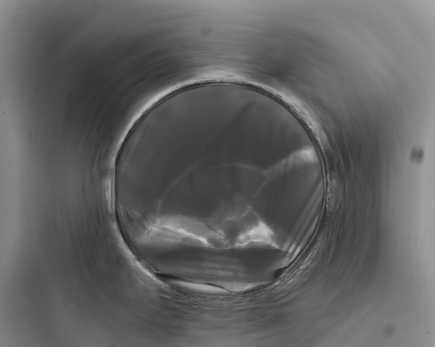 X0000097591295200803211628