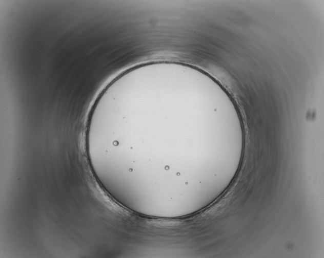 X0000097591296200803211628