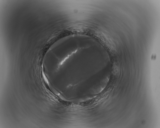 X0000097591297200803211627