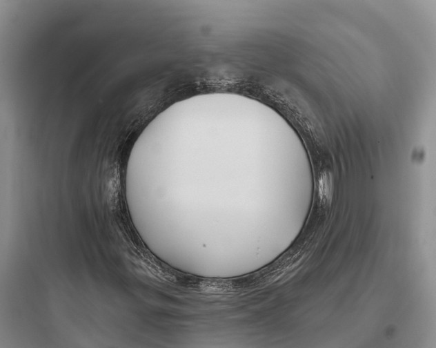 X0000097591299200803211627