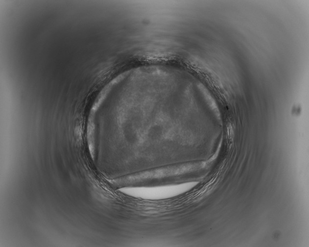 X0000097591300200803211627