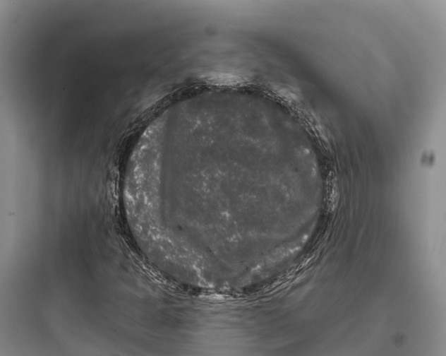 X0000097591301200803211627