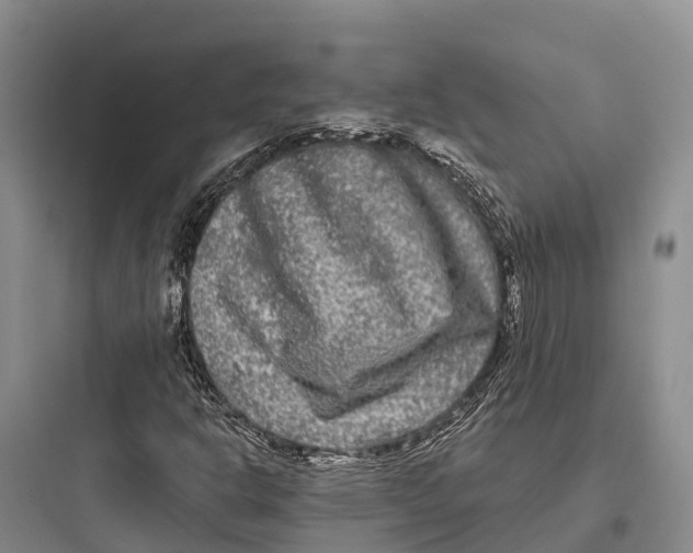 X0000097591302200803211627