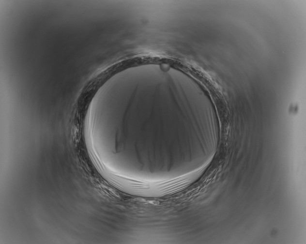 X0000097591303200803211627