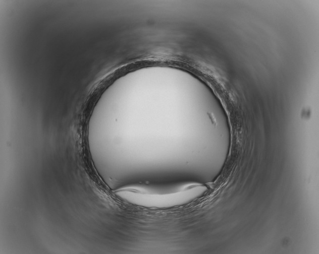 X0000097591304200803211627