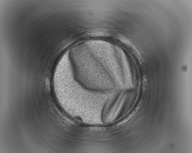 X0000097591305200803211627