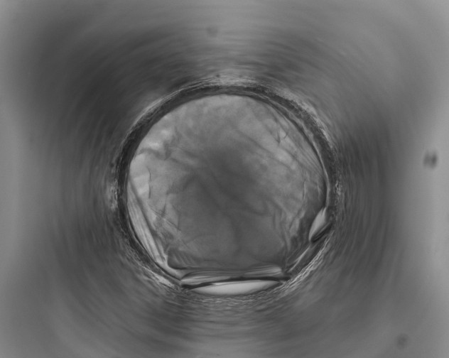 X0000097591306200803211627