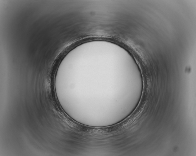 X0000097591307200803211627