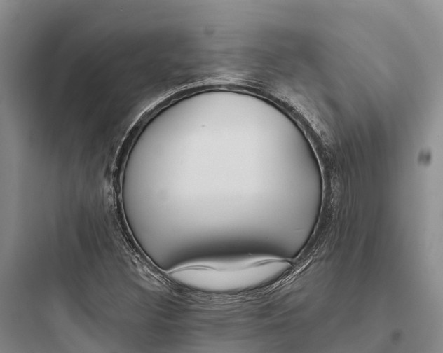 X0000097591308200803211627