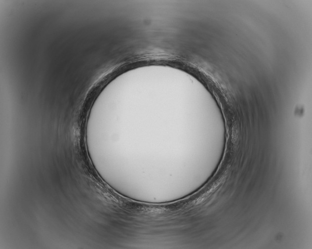 X0000097591309200803211627