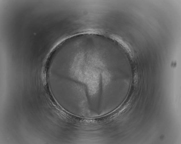 X0000097591310200803211627