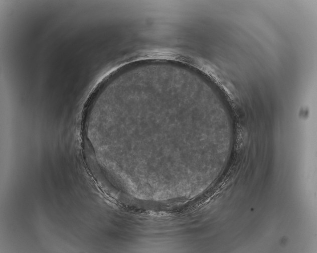 X0000097591312200803211627