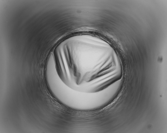 X0000097591313200803211627