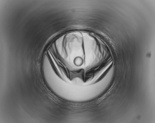 X0000097591314200803211627