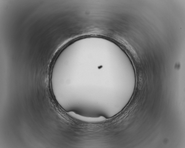 X0000097591316200803211627