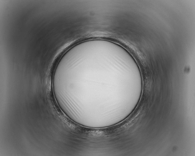 X0000097591317200803211627