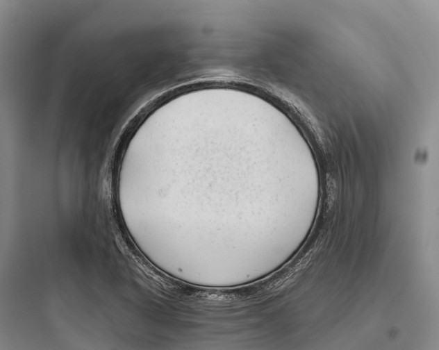 X0000097591318200803211627