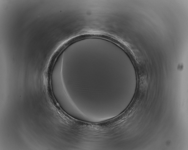 X0000097591319200803211627