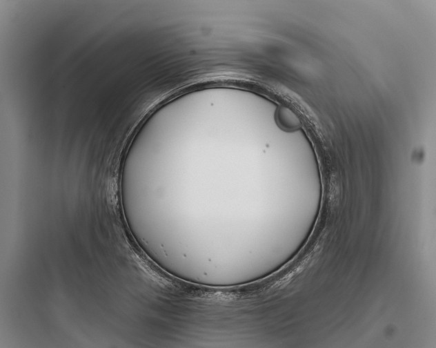 X0000097591321200803211627