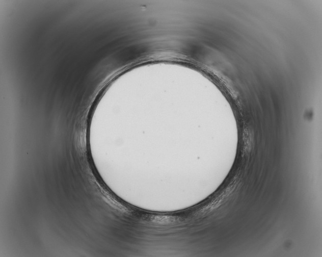 X0000097591322200803211627