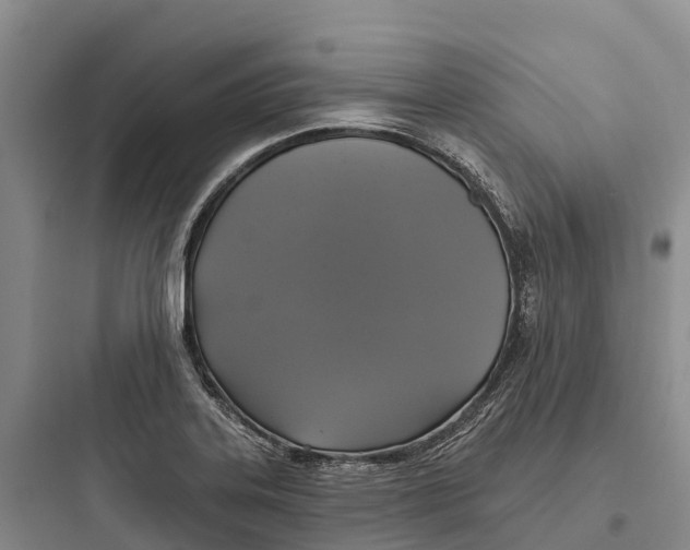 X0000097591323200803211627