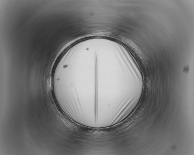 X0000097591324200803211627