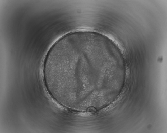 X0000097591325200803211627