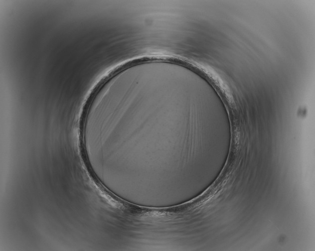 X0000097591327200803211627