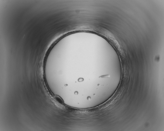 X0000097591328200803211627