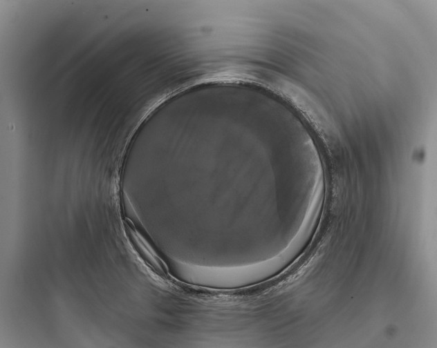 X0000097591329200803211628