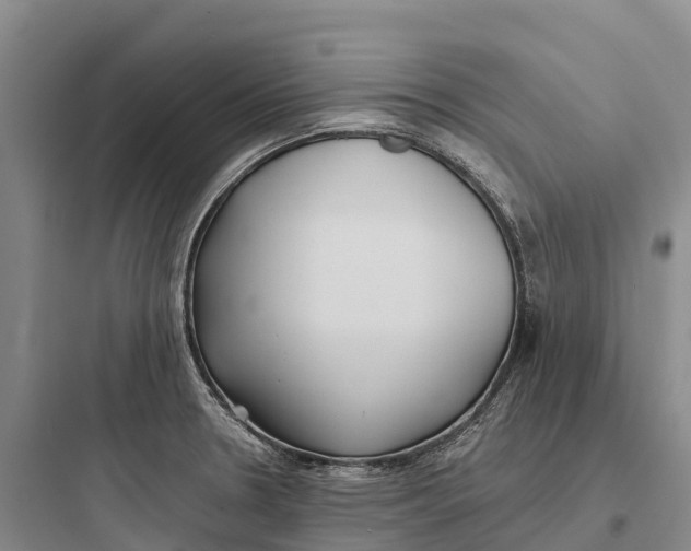 X0000097591330200803211628