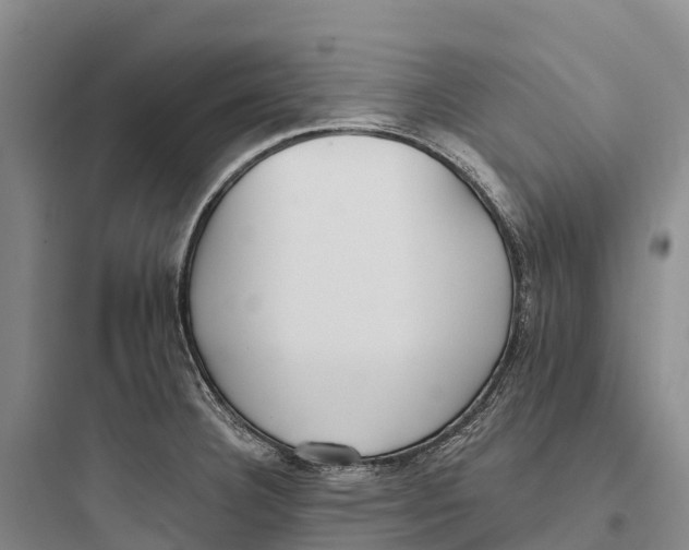 X0000097591332200803211628