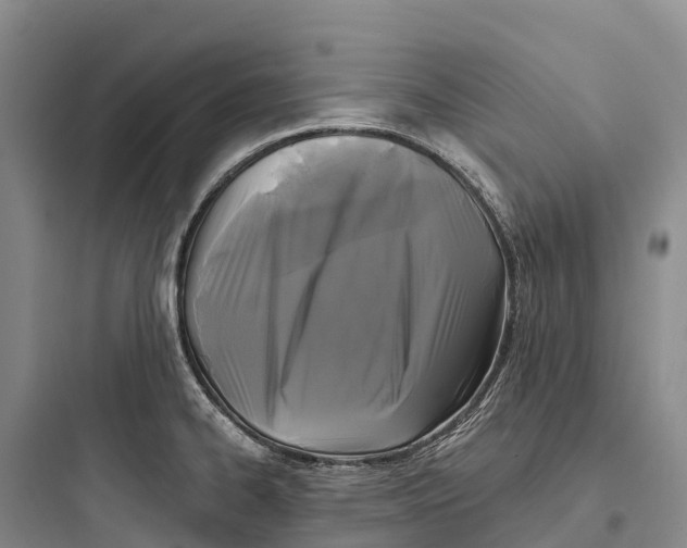 X0000097591334200803211628