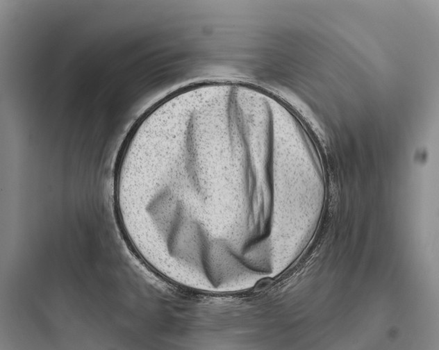 X0000097591335200803211628