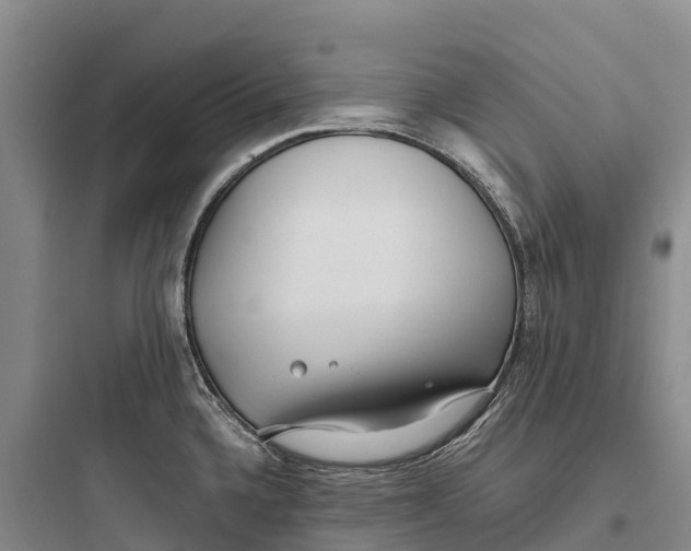 X0000097591336200803211628